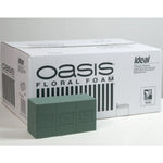 Oasis Ideal Foam