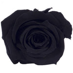 Long life Classic rose 6.5CM light Black