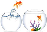Fish Bowl 20D