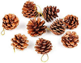 KMTE 6 pcs Christmas Pine Cones in golden color with Red Glitters BIG (10.5cm), Xmas Tree Party Hanging Decoration Ornament