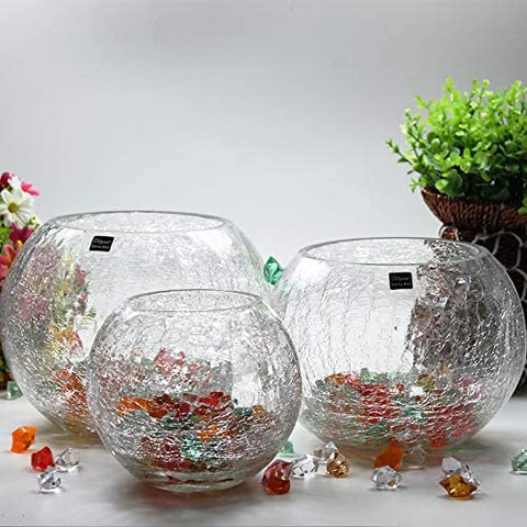 Aquarium Fish Bowl Crackle