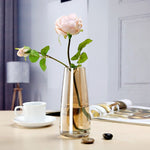 cylinder glass vase gold transparent