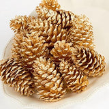 KMTE 6 pcs Christmas Pine Cones in golden color with Red Glitters BIG (10.5cm), Xmas Tree Party Hanging Decoration Ornament