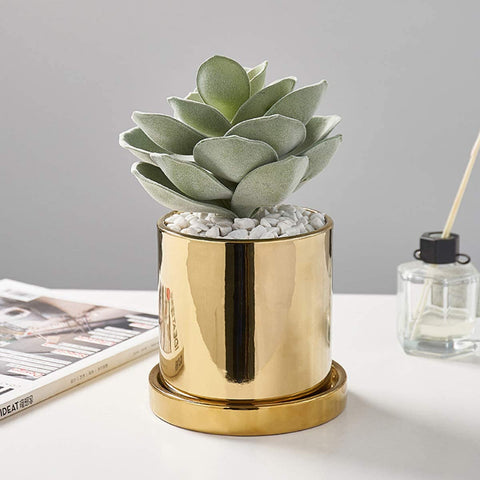 Gold Ceramic Round Flower Container for Mini Succulents, Cactus, Medium Flower Pot
