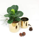 Gold Ceramic Round Flower Container for Mini Succulents, Cactus, Small Flower Pot