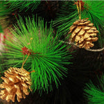 Christmas Pine Cones in golden color with Red Glitters (6-7cm),10pcs