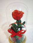 Valentine Gift Long life Roses,Infinity roses,Preserved Fresh Flower (red)
