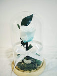 Long life Roses,Infinity Roses,Preserved Fresh Flower with Fallen Petals in a Glass Best Gifts for Lovers,Couples Design By Kreative(Tiffany blue)