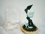 Long life Roses,Infinity Roses,Preserved Fresh Flower with Fallen Petals in a Glass Best Gifts for Lovers,Couples Design By Kreative(Tiffany blue)