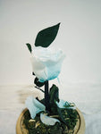 Long life Roses,Infinity Roses,Preserved Fresh Flower with Fallen Petals in a Glass Best Gifts for Lovers,Couples Design By Kreative(Tiffany blue)