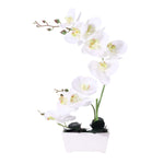 Artificial-Flower-Phalaenopsis-White
