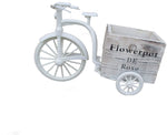 Wooden Tricycle flower pot