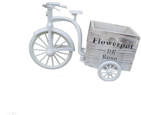 Wooden Tricycle flower pot