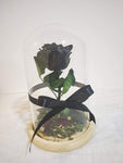 Black Long life Rose in doom Glass