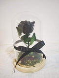 Black Long life Rose in doom Glass