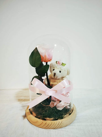 Valentines gift Long life Rose,Infinity rose,Preserved Fresh Flower with Fallen Petals (PINK)