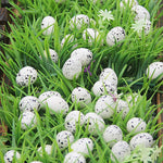 Easter Foam eggs White
