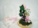 Valentines gift Long life Rose,Infinity rose,Preserved Fresh Flower with Fallen Petals (PINK)