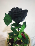 Black Long life Rose in doom Glass