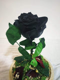 Black Long life Rose in doom Glass