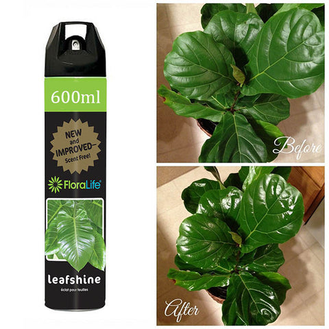Floralife Leafshine 600ml Scent