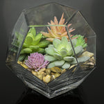 Clear Glass Hexagon Shape Flower Vase, Tabletop Prism Wedding Party Décor