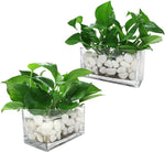 Rectangular glass vase transparent  30 x 10 x 10 cm