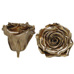 Long life Classic Gold rose 6.5CM