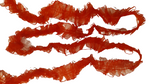 Lace-Ribbon-Red