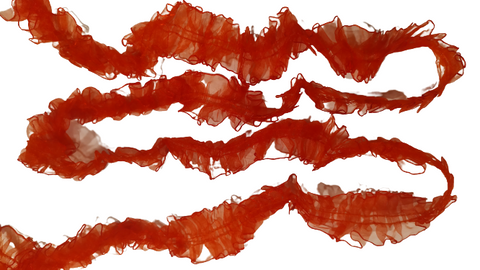 Lace-Ribbon-Red