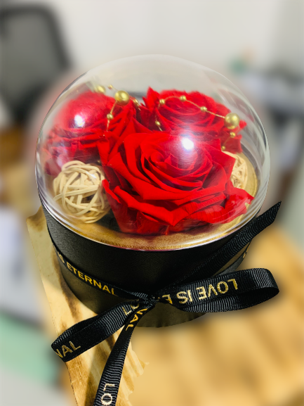 Long cheap lasting roses
