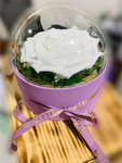 long-life-rose,infinity-rose,eternal-flower,preserved-rose,rose-in-dubai,eternal-rose,long-lasting-roses,preserved-flower,preserved-roses-in-a-box,Dome-glass-flower,valentine-gift,gift-in-dubai