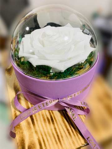 long-life-rose,infinity-rose,eternal-flower,preserved-rose,rose-in-dubai,eternal-rose,long-lasting-roses,preserved-flower,preserved-roses-in-a-box,Dome-glass-flower,valentine-gift,gift-in-dubai