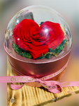 long-life-rose,infinity-rose,eternal-flower,preserved-rose,rose-in-dubai,eternal-rose,long-lasting-roses,preserved-flower,preserved-roses-in-a-box,Dome-glass-flower,valentine-gift,gift-in-dubai