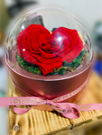 long-life-rose,infinity-rose,eternal-flower,preserved-rose,rose-in-dubai,eternal-rose,long-lasting-roses,preserved-flower,preserved-roses-in-a-box,Dome-glass-flower,valentine-gift,gift-in-dubai