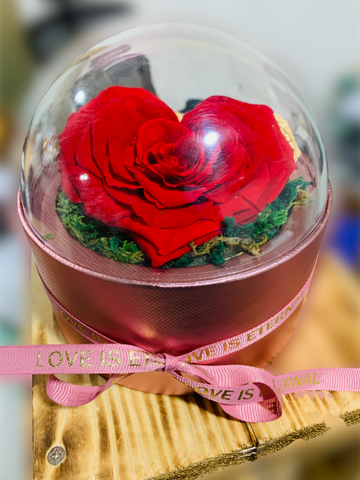long-life-rose,infinity-rose,eternal-flower,preserved-rose,rose-in-dubai,eternal-rose,long-lasting-roses,preserved-flower,preserved-roses-in-a-box,Dome-glass-flower,valentine-gift,gift-in-dubai