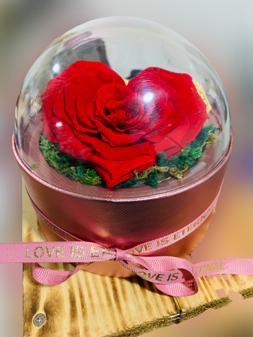 long-life-rose,infinity-rose,eternal-flower,preserved-rose,rose-in-dubai,eternal-rose,long-lasting-roses,preserved-flower,preserved-roses-in-a-box,Dome-glass-flower,valentine-gift,gift-in-dubai