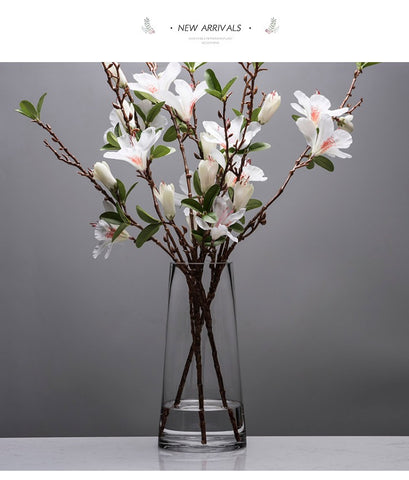 Cylinder glass vase Rainbow transparent