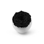long-life-rose,infinity-rose,eternal-flower,preserved-rose,rose-in-dubai,eternal-rose,long-lasting-roses,preserved-flower,preserved-roses-in-a-box,Dome-glass-flower,valentine-gift,gift-in-dubai
