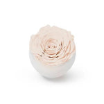 long-life-rose,infinity-rose,eternal-flower,preserved-rose,rose-in-dubai,eternal-rose,long-lasting-roses,preserved-flower,preserved-roses-in-a-box,Dome-glass-flower,valentine-gift,gift-in-dubai