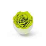 long-life-rose,infinity-rose,eternal-flower,preserved-rose,rose-in-dubai,eternal-rose,long-lasting-roses,preserved-flower,preserved-roses-in-a-box,Dome-glass-flower,valentine-gift,gift-in-dubai