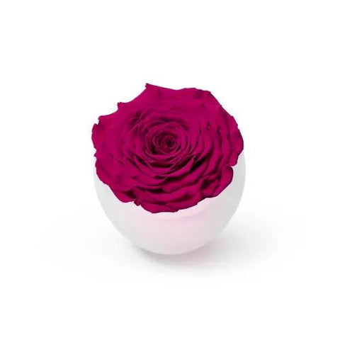 long-life-rose,infinity-rose,eternal-flower,preserved-rose,rose-in-dubai,eternal-rose,long-lasting-roses,preserved-flower,preserved-roses-in-a-box,Dome-glass-flower,valentine-gift,gift-in-dubai