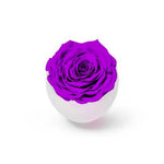 long-life-rose,infinity-rose,eternal-flower,preserved-rose,rose-in-dubai,eternal-rose,long-lasting-roses,preserved-flower,preserved-roses-in-a-box,Dome-glass-flower,valentine-gift,gift-in-dubai