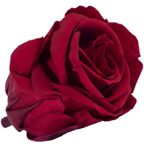 Long life Classic rose 6.5CM light Red
