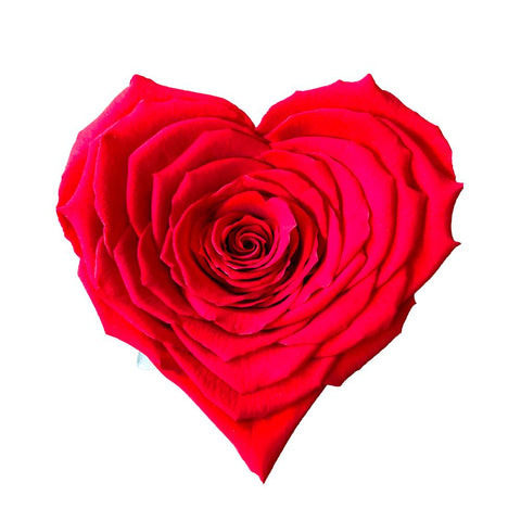 Infinity Heart rose