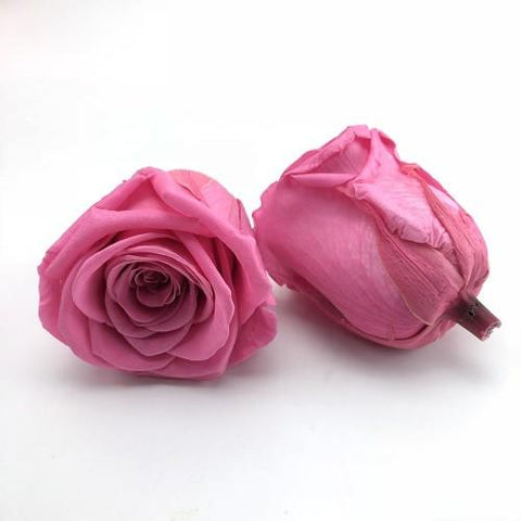 Long life Classic rose 4CM light Pink